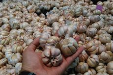 Pedagang Pasar Pramuka: Harga Bawang Putih Sempat Rp 100.000, Sekarang Rp 70.000