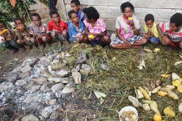 Warga bersama-sama menikmati jagung dan ubi yang telah dimasak dengan bakar batu di samping rumah keluarga di Kampung Hepuba, Distrik Asolokobal, Jayawijaya, Papua, Minggu (8/12/2013). 