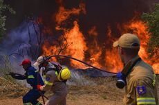 Bencana Kebakaran Hutan Melanda Eropa dan Amerika, 6 Negara Ini Terdampak Parah