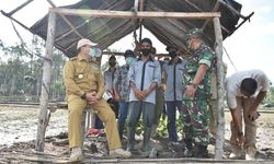 Produksi Padi Babel Baru 37 Persen, Pemprov Babel Dorong Pemanfaatan Lahan yang Masih Tersedia