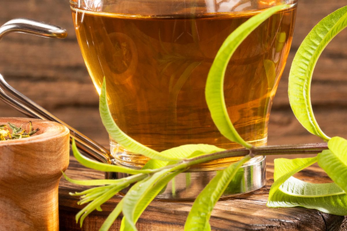 Ilustrasi teh dari daun lemon verbena. 