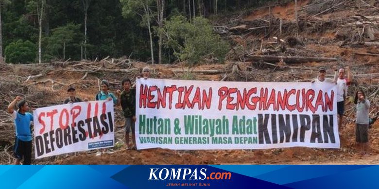 Aparat Polda Kalteng Akan Dilaporkan Ke Propam Polri Dan Kompolnas Terkait Kasus Effendi Buhing