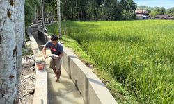 Perbaikan Irigasi Krueng Baru Dipercepat, 340 Hektar Sawah Ditargetkan Kembali Produktif