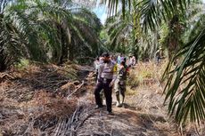 Harimau Sumatera Dekati Permukiman, Siswa di Riau Terpaksa Belajar Online