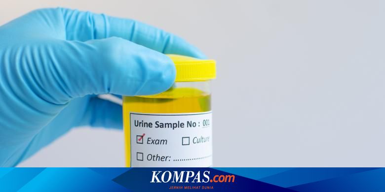 11 Warna Urine Dan Artinya Pada Kesehatan Anda Halaman All