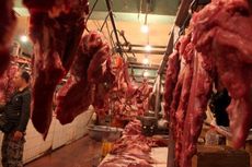 Impor Daging Kerbau Asal India Masuk ke RI hingga Akhir Juni