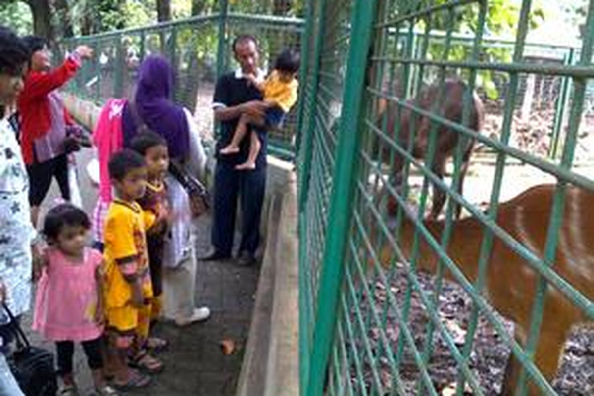 Pengunjung sedang melihat-lihat satwa di Taman Margasatwa Ragunan. Akhir pekan sering dimanfaatkan warga untuk berkunjung ke sana sambil membawa keluarga.