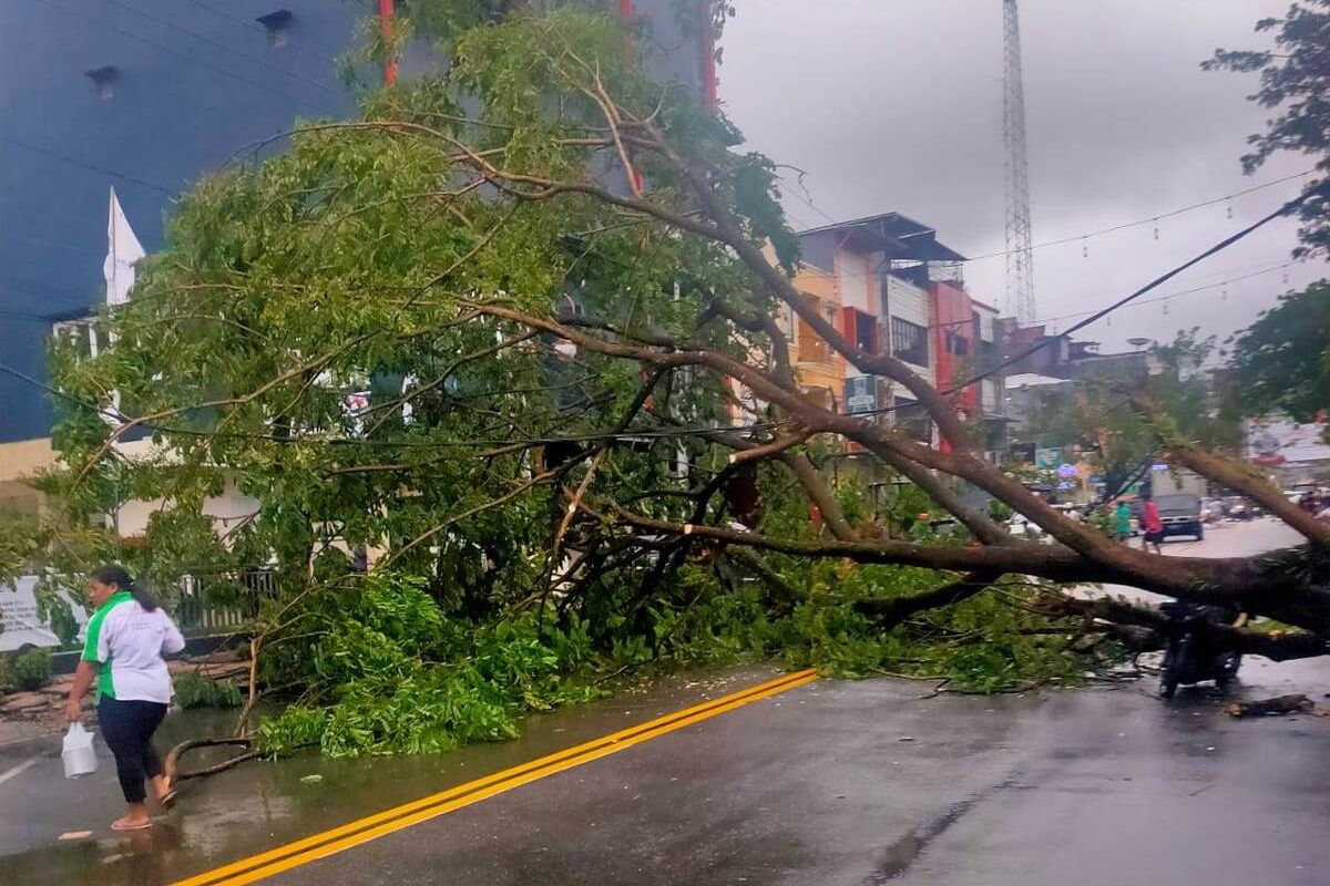Hujan lebat disertai angin kencang menyebabkan pohon tumbang di sejumlah kawasan di Kota Ambon, Rabu (22/12/2021).