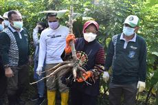 Jurus Wali Kota Risma Menghadang Resesi