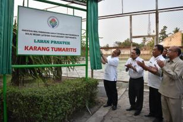 Menteri Desa, Marwan Jafar, meresmikan Balai Besar Latihan Masyarakat Yogyakarta Lahan Praktek Karang Tumaritis, pada acara pelatihan hortikultura tanaman sayuran dan pelatihan budidaya ikan air tawar, 1-12 Oktober 2015.
