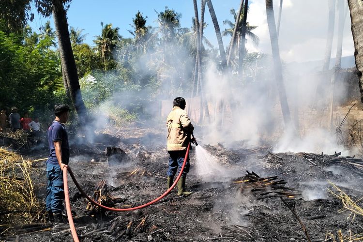 Karhutla di Buleleng Hanguskan 48 Hektare Lahan, Terluas dalam 6 Peristiwa Serupa