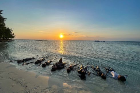 Jelajah Pulau Menjangan Kecil di Karimunjawa, Ada Penangkaran Hiu dan Spot Sunset