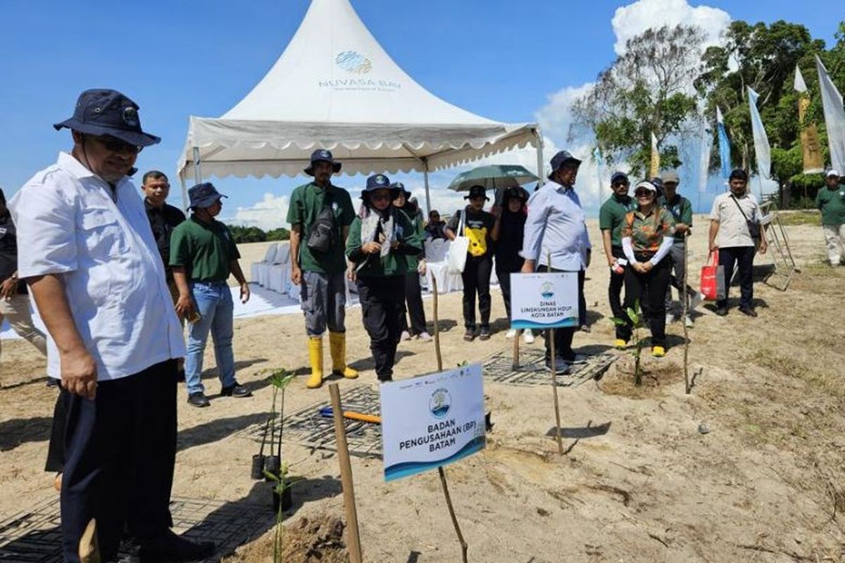 Selain fokus pada target pengurangan emisi karbon produk properti hingga 34 persen pada 2034, Sinar Mas Land juga aktif melakukan penghijauan dan pembangunan area hijau terbuka, termasuk pelestarian kawasan mangrove di Nuvasa Bay. Sinar Mas Land telah mengambil langkah dalam pelestarian hutan bakau seluas 43 ha di dalam area Nuvasa Bay,? terang Dony. 