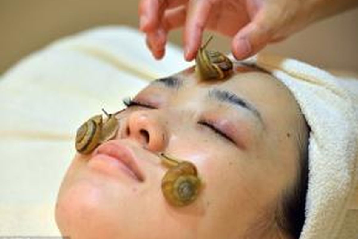 Salon Jepang menawarkan perawatan kecantikan dengan membiarkan bekicot merangkak di wajah.