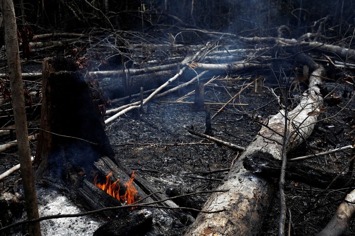 Kebakaran hutan Amazon, Brasil pada 21 Agustus 2019.