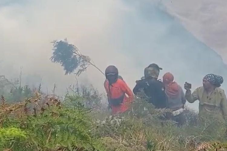 Kebakaran terjadi di taman nasional bromo tengger semeru, membakar hutan hingga 10 hektare