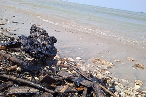 Limbah Hitam di Teluk Lampung, Pakar Lingkungan Sarankan Penelusuran Sumber Pencemaran Segera Dilakukan