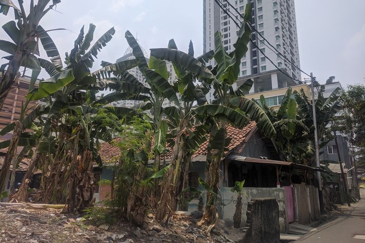 Kampung Kebon Melati, permukiman yang terkepung kawasan elit di Thamrin, Jakarta Pusat