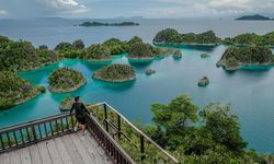 Raja Ampat Diusulkan Jadi Cagar Biosfer UNESCO