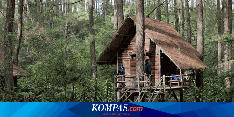Wisata Keluarga Di Hutan Tbmk Nan Ramah