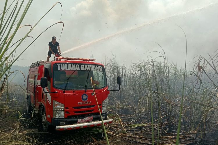 6 Hektare Kebun Warga dan Lahan Kosong di Tulang Bawang Lampung Terbakar