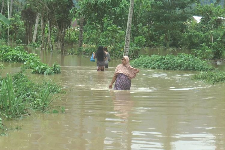 Banjir Rendam Puluhan Rumah dan Sekolah di Binuang, Jalur Trans Provinsi Terputus