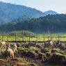 8 Tempat Wisata Keluarga di Ciwidey, Ramah untuk Anak