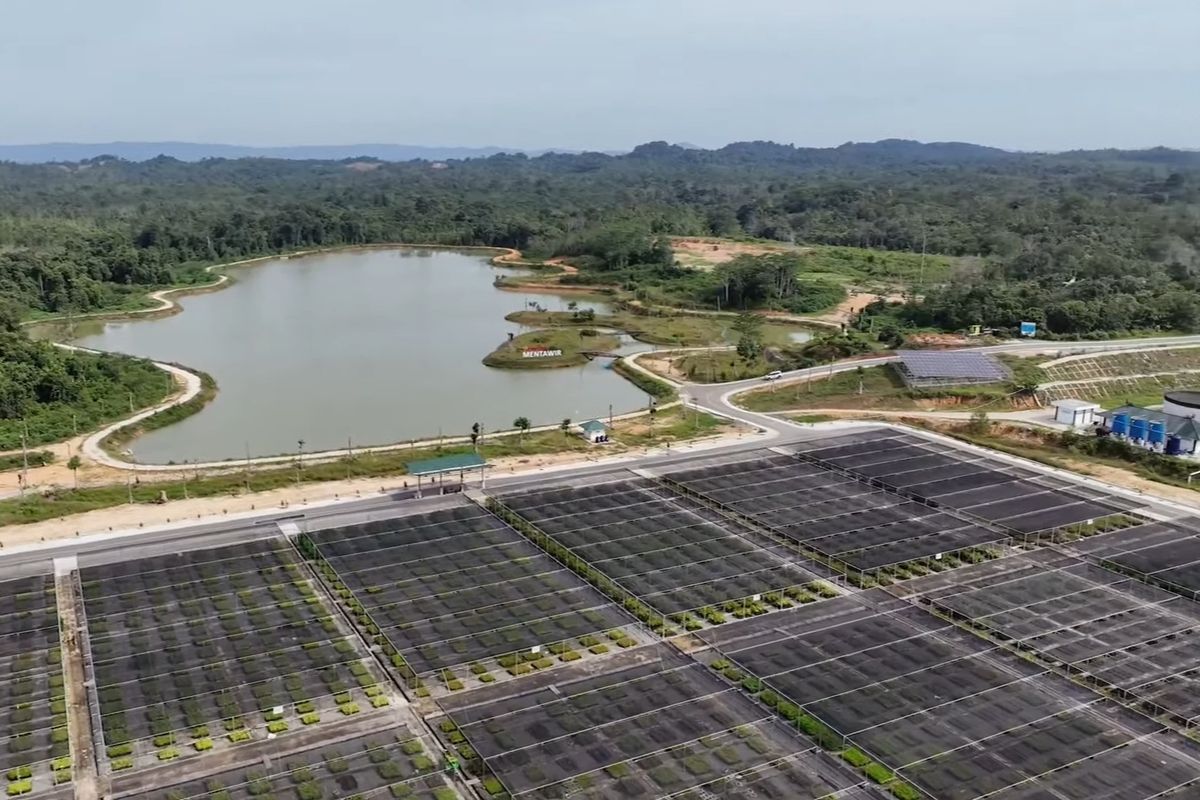 Kompleks Pusat Persemaian Mentawir di Kabupaten Penajam Paser Utara, Kalimantan Timur.