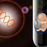 Pentingnya Cadangan Ovarium, Faktor Keberhasilan Program Bayi Tabung