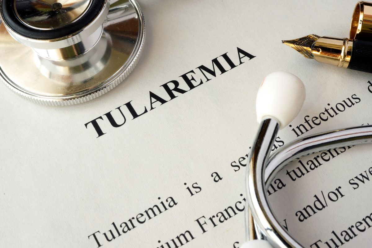 Ilustrasi Tularemia