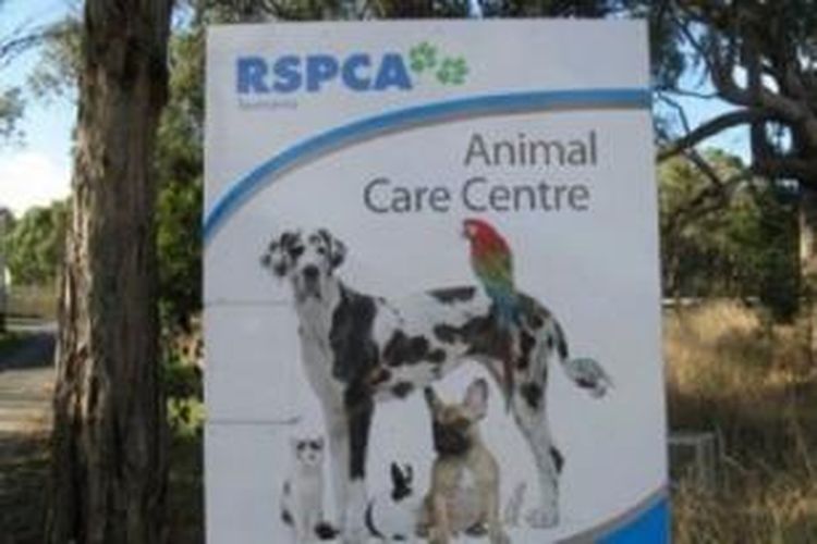Seorang warga Australia Barat didenda Rp 50 juta karena membiarkan anjingnya kelaparan