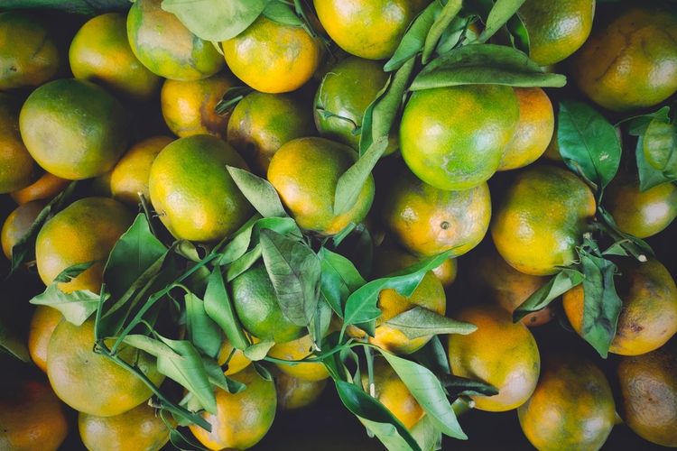 Ilustrasi buah jeruk keprok.