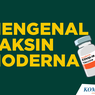 INFOGRAFIK: Mengenal Vaksin Moderna