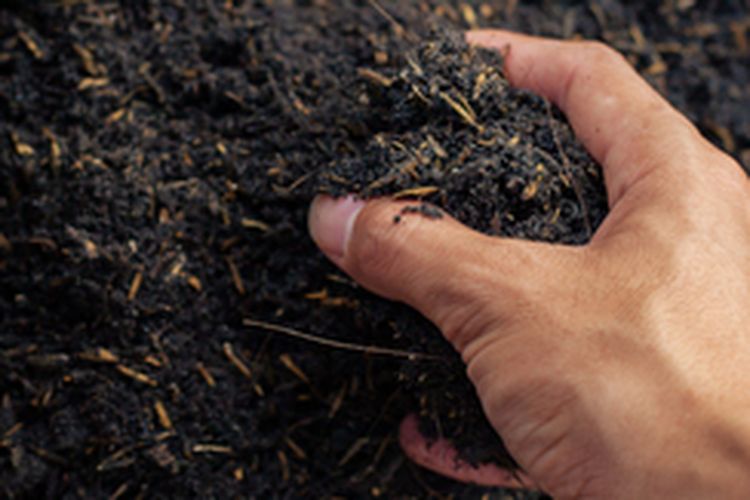 Ilustrasi biochar dari arang sekam