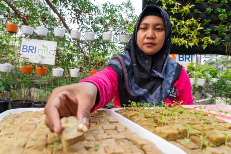 Program BRInita BRI meraih penghargaan Sustainable Impact in Women-Led Urban Agriculture pada ajang Mata Lokal Fest 2025. 