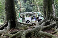 Mengapa Kebun Raya Bogor Tetap Jadi Pilihan Wisatawan Saat Libur Lebaran? 