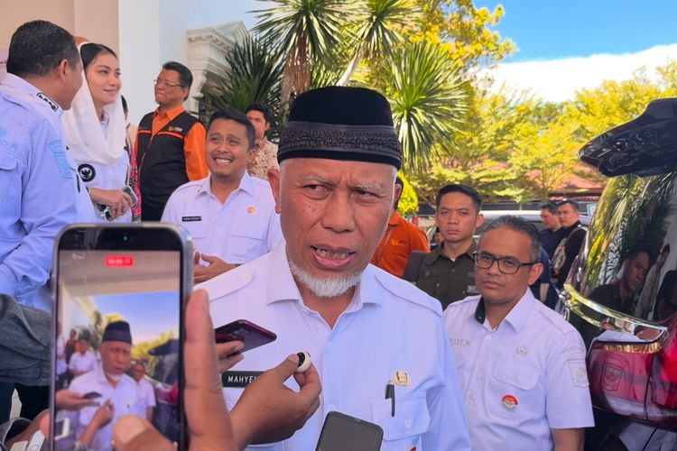 Harga Turun, Petani Gambir Sumbar Beralih Mendulang Emas 