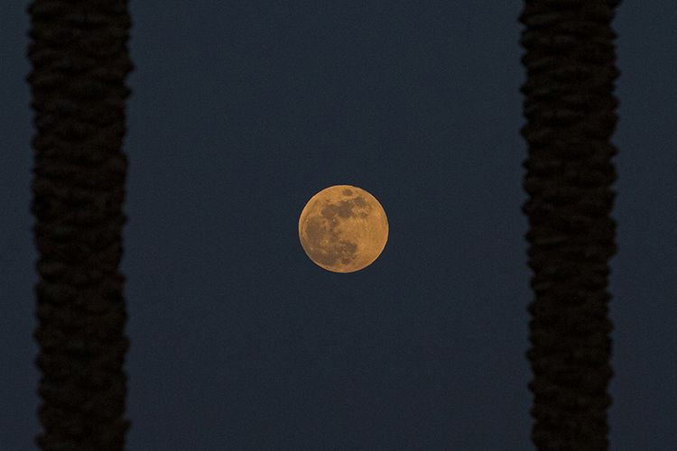 Penampakan bulan purnama Strawberry Moon saat berlangsung gerhana bulan penumbra, terlihat di atas langit Kota Pelabuhan Basra, Irak, Jumat (5/6/2020) malam. Dua fenomena langit, bulan purnama strawberry dan gerhana bulan penumbra, yang jarang terjadi bersamaan ini bisa terlihat di sebagian besar Eropa, Afrika, Asia, Australia, Samudera Hindia, dan Australia.