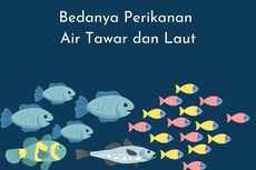 Bedanya Perikanan Air Tawar dan Laut