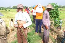 Akibat Pembakaran Liar, Daya Beli Petani Perkebunan Turun