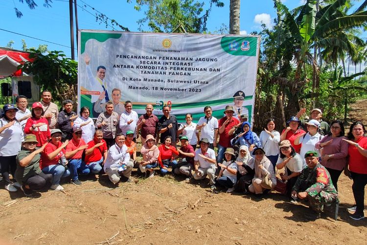 Kementerian Pertanian (Kementan) melalui Direktorat Jenderal Perkebunan (Ditjenbun) lakukan pencanangan penanaman jagung secara integrasi antara komoditas perkebunan dengan tanaman pangan, di Kelurahan Bengkol, Kecamatan Mapanget, Kota Manado, Provinsi Sulawesi Utara (Sulut), Sabtu (18/11/2023).

