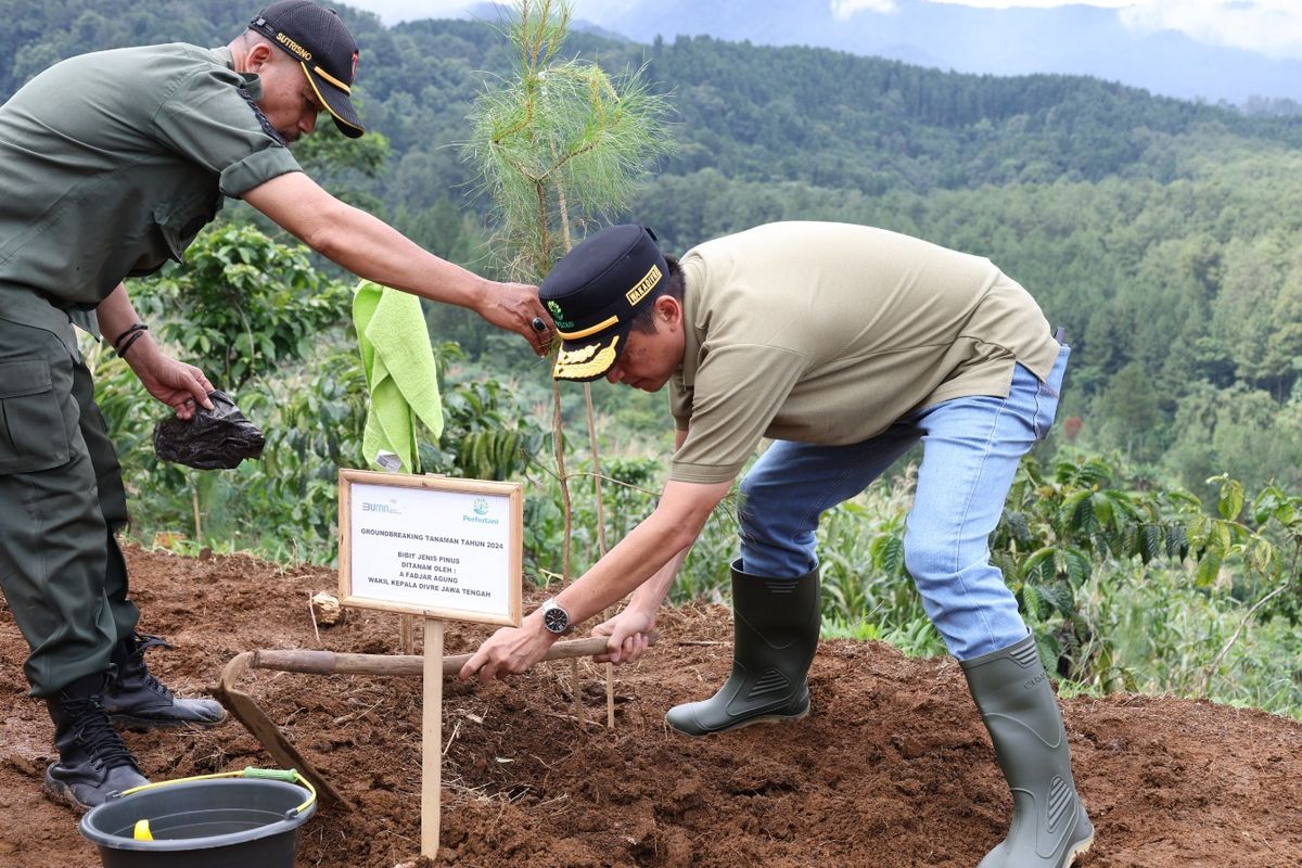 Perum Perhutani bakal menanam 24,4 juta pohon sebagai langlah melestarikan hutan. 