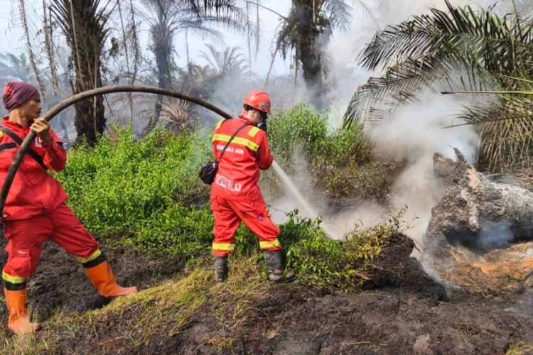 Karhutla di Kebun Sawit Siak Belum Padam, Petugas Menginap di Lokasi Pemadaman