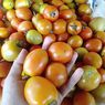 Awal Ramadhan, Harga Tomat di Sumbawa Melonjak 100 Persen