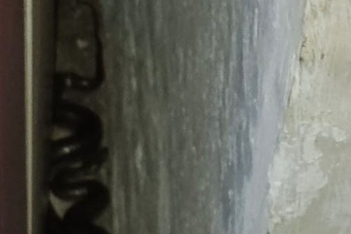 Ular kobra yang masuk ke rumah warga dan bersembunyi di belakang lemari ruang tamu di Perum Prima Surya, Desa Karanganyar, Kecamatan Kandanghaur, Indramayu, Jawa Barat, Minggu (14/12/2025) dini hari