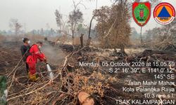 Kualitas Udara Kalteng Tembus 1.000 akibat Karhutla, 10.700 Personel Gabungan Dikerahkan