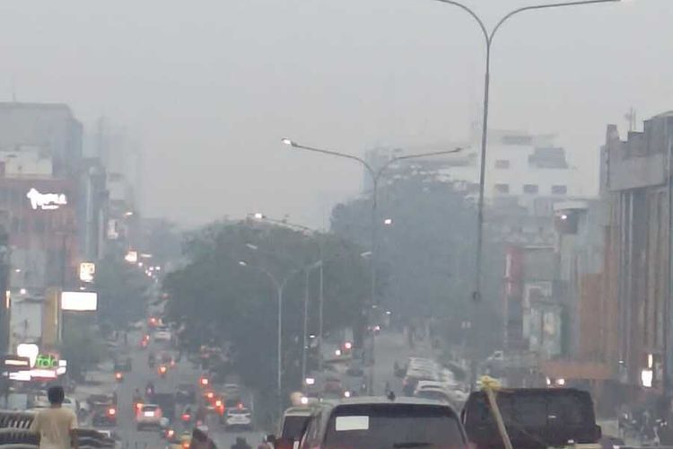 Kabut Asap Pekat Karhutla Selimuti Riau, Warga: Bikin Napas Sesak...