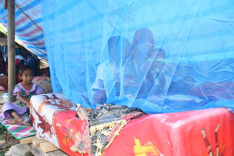 Warga pengungsi gempa Lombok memasang kelambu agar terhindar dari gigitan nyamuk malaria