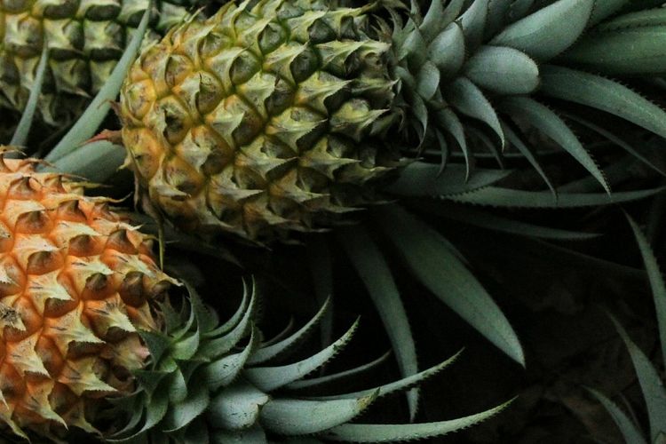 Ilustrasi nanas, buah nanas. 