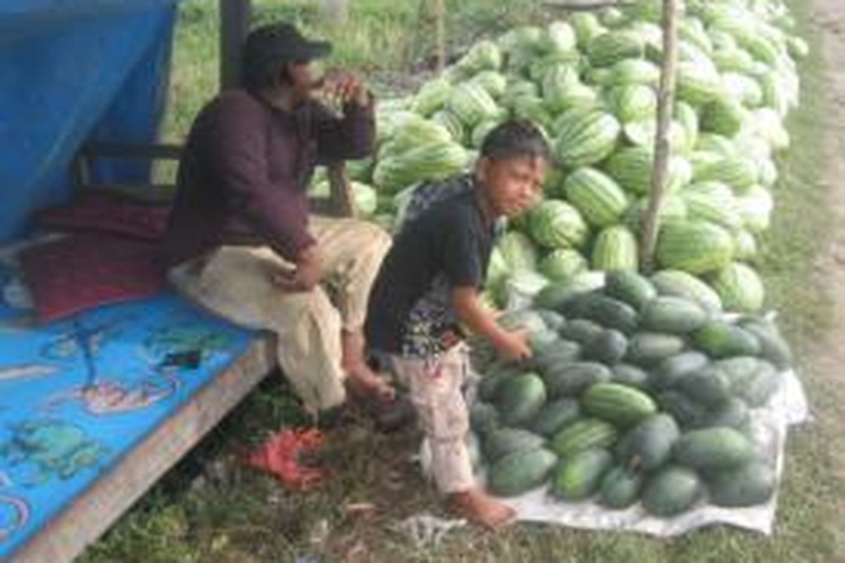 Anak-anak juga ikut ambil bagian berjualan buah semangka yang membanjiri Kota Bireuen sepekan terakhir, sehingga harga per kilogram hanya Rp 2.000.